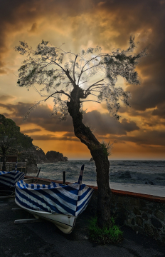 VM-2025 - Dietmar Carli